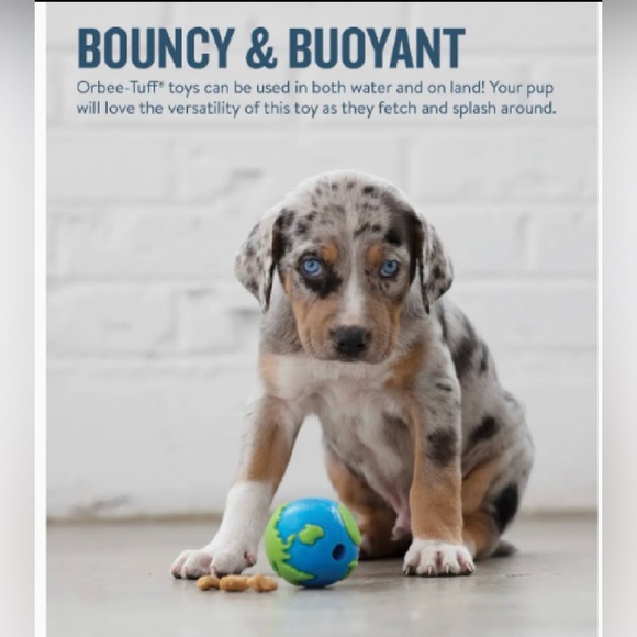 Planet Dog Orbee-Tuff Planet Ball Dog Toy Blue/Green Small - Picture 2 of 4